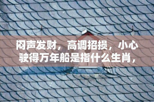 闷声发财，高调招损，小心驶得万年船是指什么生肖，成语释义解释落实