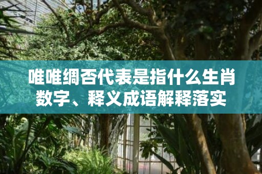 唯唯绸否代表是指什么生肖数字、释义成语解释落实插图