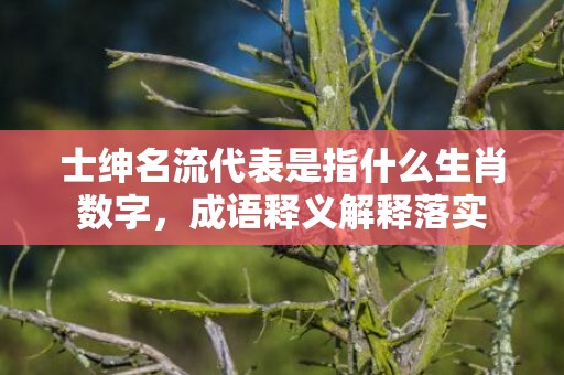 士绅名流代表是指什么生肖数字，成语释义解释落实