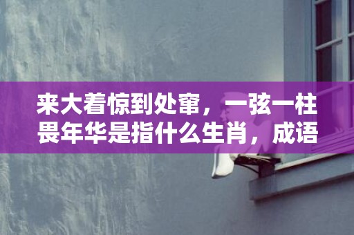 来大着惊到处窜，一弦一柱畏年华是指什么生肖，成语释义解释落实