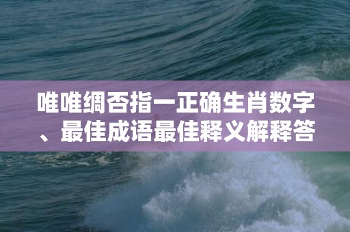 唯唯绸否指一正确生肖数字、最佳成语最佳释义解释答插图