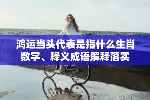 鸿运当头代表是指什么生肖数字、释义成语解释落实插图