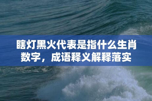 瞎灯黑火代表是指什么生肖数字，成语释义解释落实