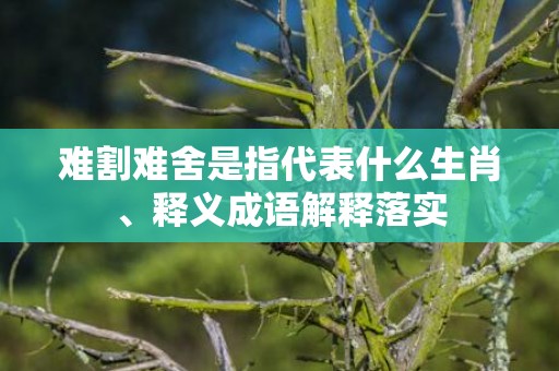 难割难舍是指代表什么生肖、释义成语解释落实