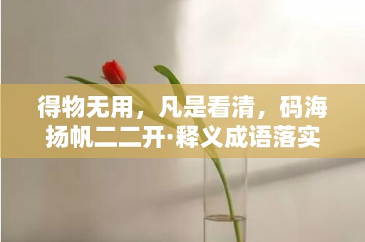 得物无用，凡是看清，码海扬帆二二开·释义成语落实解释