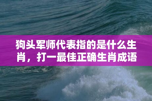 狗头军师代表指的是什么生肖，打一最佳正确生肖成语·最佳成语最佳释义解释答