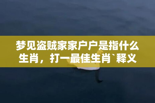 梦见盗贼家家户户是指什么生肖，打一最佳生肖`释义成语解释落实