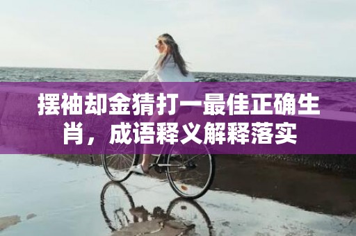 摆袖却金猜打一最佳正确生肖，成语释义解释落实