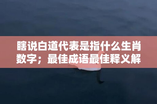 瞎说白道代表是指什么生肖数字；最佳成语最佳释义解释答插图