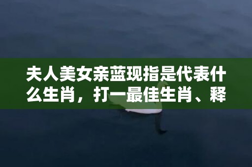 夫人美女亲蓝现指是代表什么生肖，打一最佳生肖、释义成语解释落实