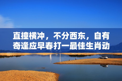 直撞横冲，不分西东，自有奇逢应早春打一最佳生肖动物、释义成语解释落实