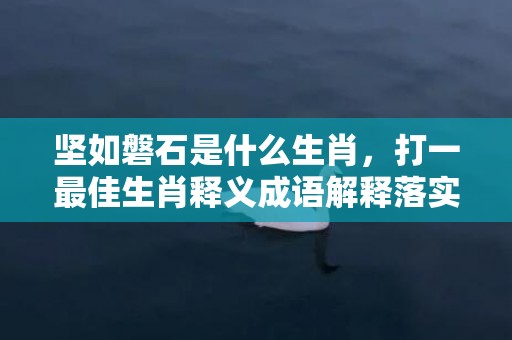 坚如磐石是什么生肖，打一最佳生肖释义成语解释落实