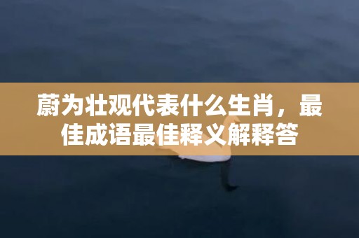 蔚为壮观代表什么生肖，最佳成语最佳释义解释答