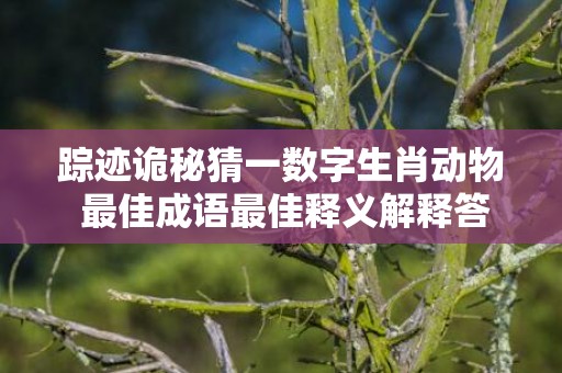 踪迹诡秘猜一数字生肖动物 最佳成语最佳释义解释答