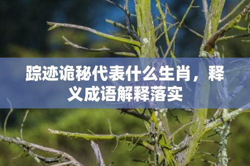 踪迹诡秘代表什么生肖，释义成语解释落实插图