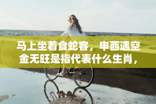 马上坐着食蛇客，申西遇空金无旺是指代表什么生肖，标准解释落实释义