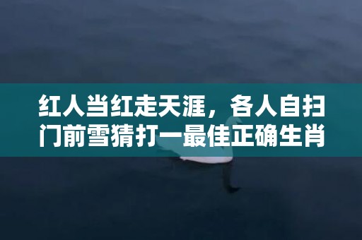 红人当红走天涯，各人自扫门前雪猜打一最佳正确生肖，是指什么生肖成语释义解释落实