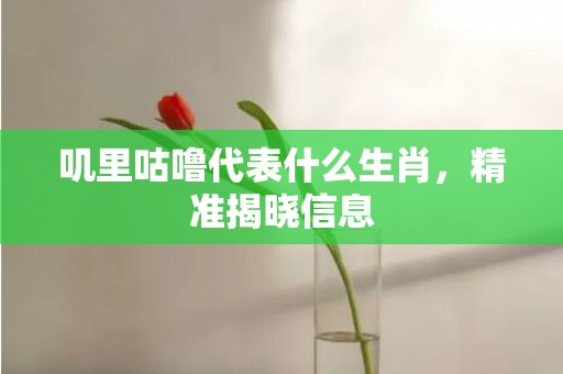 叽里咕噜代表什么生肖，精准揭晓信息