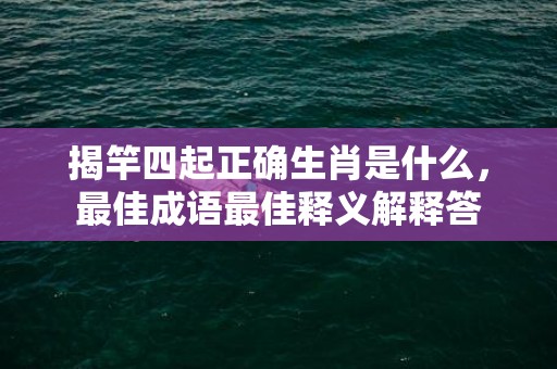 揭竿四起正确生肖是什么，最佳成语最佳释义解释答插图