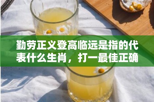 勤劳正义登高临远是指的代表什么生肖，打一最佳正确生肖成语解释落实释义