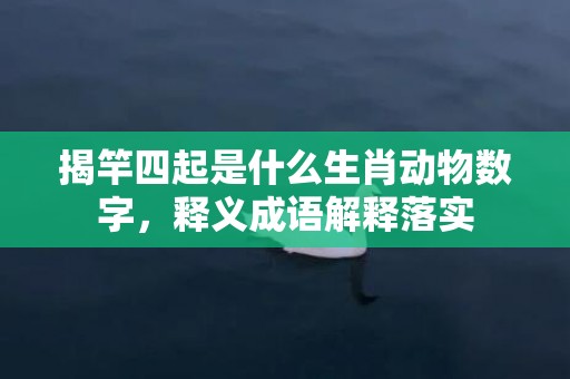 揭竿四起是什么生肖动物数字，释义成语解释落实