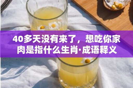 40多天没有来了，想吃你家肉是指什么生肖·成语释义解释落实