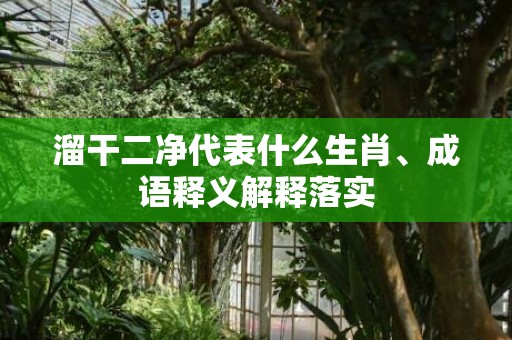 溜干二净代表什么生肖、成语释义解释落实