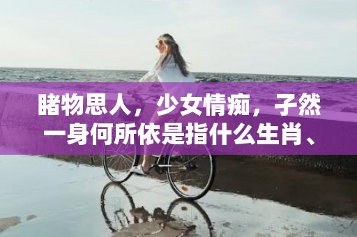 睹物思人，少女情痴，孑然一身何所依是指什么生肖、成语释义解释落实插图