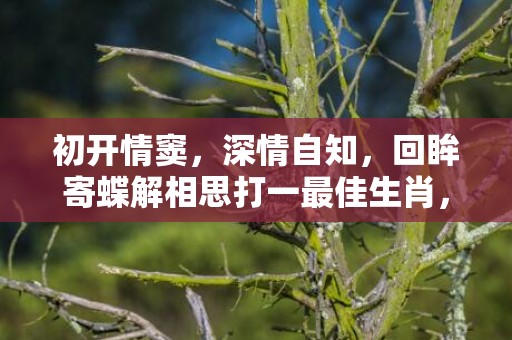 初开情窦，深情自知，回眸寄蝶解相思打一最佳生肖，释义成语解释落实插图