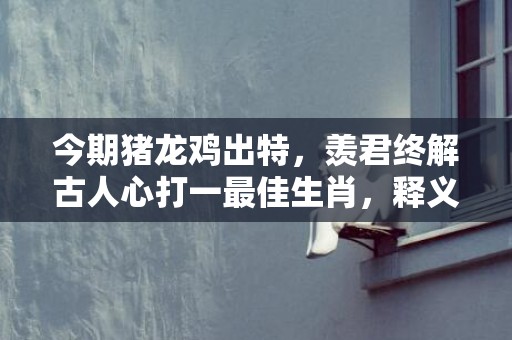 今期猪龙鸡出特，羡君终解古人心打一最佳生肖，释义成语解释落实插图