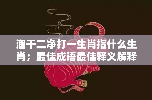 溜干二净打一生肖指什么生肖；最佳成语最佳释义解释答插图