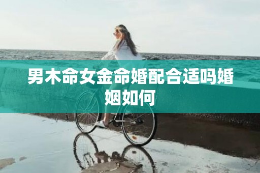 男木命女金命婚配合适吗婚姻如何