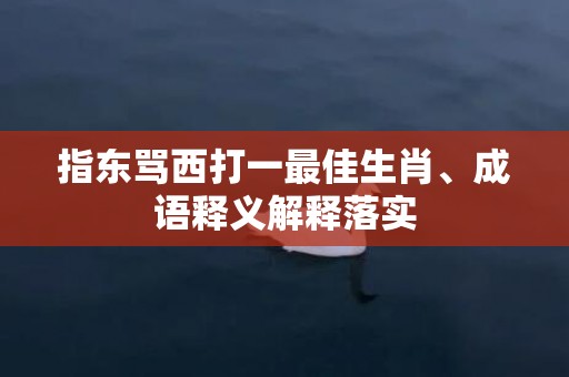 指东骂西打一最佳生肖、成语释义解释落实