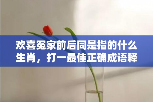 欢喜冤家前后同是指的什么生肖，打一最佳正确成语释义解释落实