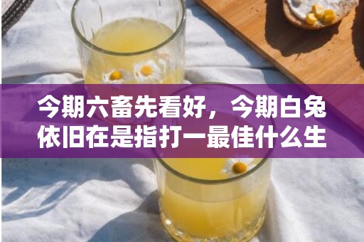 今期六畜先看好，今期白兔依旧在是指打一最佳什么生肖“释义成语解释落实”