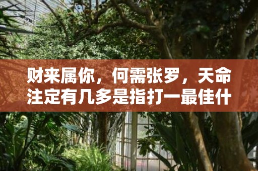 财来属你，何需张罗，天命注定有几多是指打一最佳什么生肖“释义成语解释落实”