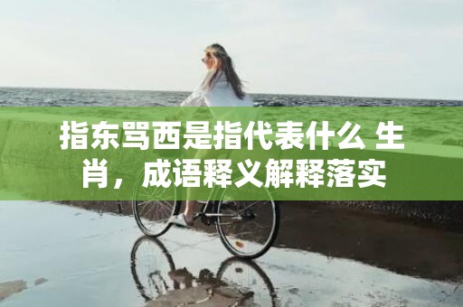 指东骂西是指代表什么 生肖，成语释义解释落实