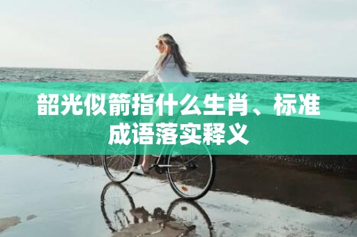 韶光似箭指什么生肖、标准成语落实释义