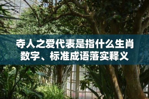 夺人之爱代表是指什么生肖数字、标准成语落实释义