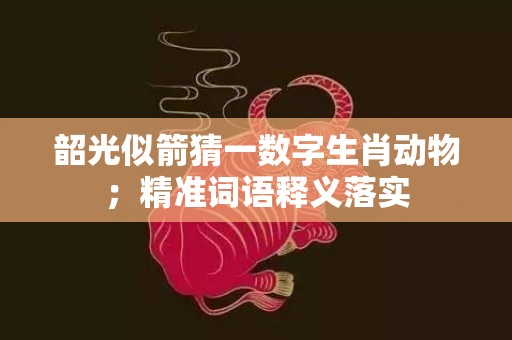 韶光似箭猜一数字生肖动物；精准词语释义落实