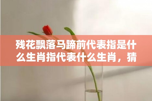 残花飘落马蹄前代表指是什么生肖指代表什么生肖，猜打一最佳精准词语释义落实