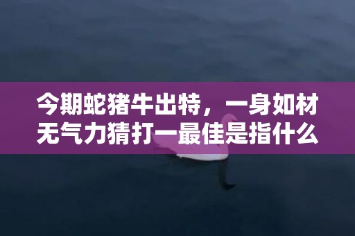 今期蛇猪牛出特，一身如材无气力猜打一最佳是指什么生肖，精准释义词语落实