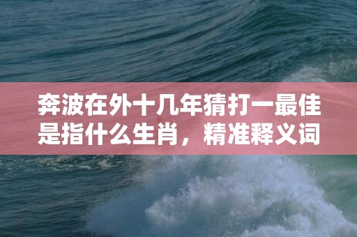 奔波在外十几年猜打一最佳是指什么生肖，精准释义词语落实、词语精准释义落实