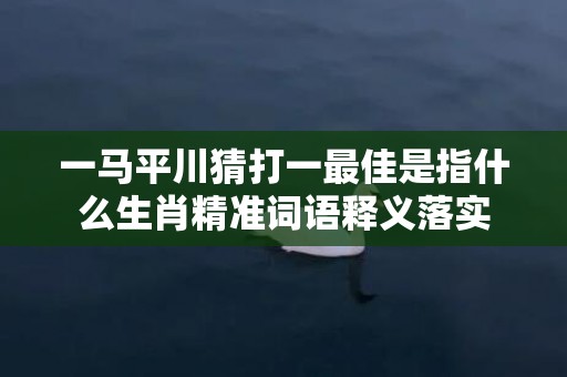 一马平川猜打一最佳是指什么生肖精准词语释义落实