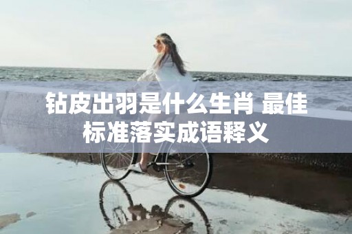 钻皮出羽是什么生肖 最佳标准落实成语释义