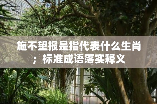 施不望报是指代表什么生肖；标准成语落实释义