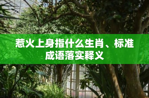 惹火上身指什么生肖、标准成语落实释义