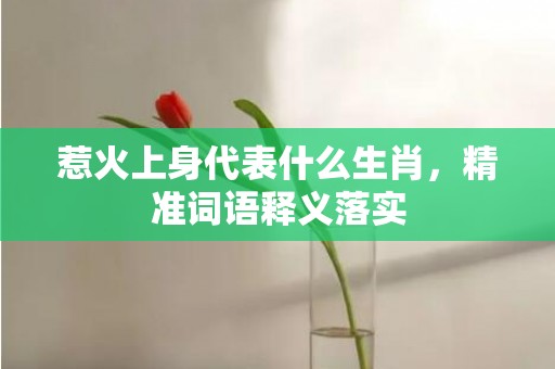 惹火上身代表什么生肖，精准词语释义落实