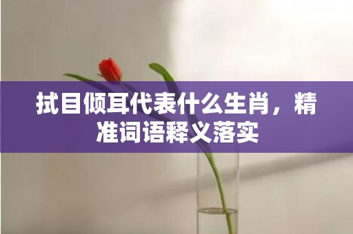 拭目倾耳代表什么生肖，精准词语释义落实