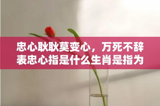 忠心耿耿莫变心，万死不辞表忠心指是什么生肖是指为什么生肖，猜打一最佳生肖标准成语落实释义